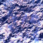 SIF_0711_0730072634_640EBY_N0332864SRLC00381_0000LMJ