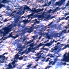 SIF_0711_0730072636_445EBY_N0332864SRLC00381_0000LMJ