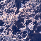 SIF_0711_0730073337_175EBY_N0332864SRLC00581_0000LMJ