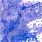 SIF_0711_0730073676_519EBY_N0332864SRLC00581_0000LMJ