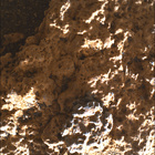 SIF_0711_0730073699_640EBY_N0332864SRLC00581_0000LMJ