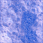 SIF_0727_0731488096_683EBY_N0360000SRLC01236_0000LMJ