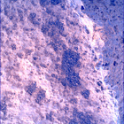 SIF_0727_0731488137_371EBY_N0360000SRLC01236_0000LMJ