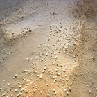 HSF_0741_0732732476_014EJP_N0480001HELI00005_000085J02