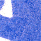 SIF_0741_0732728682_824EBY_N0370000SRLC00701_0000LMJ