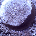 SIF_0744_0733000274_625EBY_N0370000SRLC01034_0000LMJ