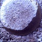 SIF_0744_0733000276_109EBY_N0370000SRLC01034_0000LMJ