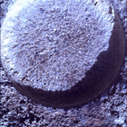 SIF_0744_0733000282_031EBY_N0370000SRLC01034_0000LMJ