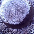 SIF_0744_0733000283_511EBY_N0370000SRLC01034_0000LMJ