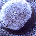 SIF_0744_0733000452_820EBY_N0370000SRLC01034_0000LMJ