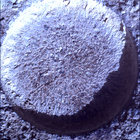 SIF_0744_0733000455_777EBY_N0370000SRLC01034_0000LMJ