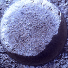 SIF_0744_0733000458_730EBY_N0370000SRLC01034_0000LMJ