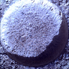 SIF_0744_0733000463_160EBY_N0370000SRLC01034_0000LMJ