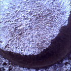 SIF_0744_0733000638_402EBY_N0370000SRLC00752_0000LMJ