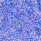 SIF_0745_0733077746_957EBY_N0370000SRLC00701_0000LMJ