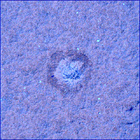 SIF_0747_0733259228_093EBY_N0370000SRLC04001_0000LMJ