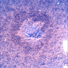 SIF_0747_0733259514_628EBY_N0370000SRLC00748_0000LMJ