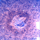 SIF_0747_0733259682_570EBY_N0370000SRLC00748_0000LMJ
