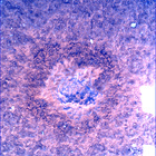SIF_0747_0733259684_210EBY_N0370000SRLC00748_0000LMJ