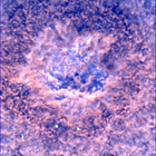 SIF_0747_0733259871_785EBY_N0370000SRLC00372_0000LMJ