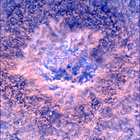 SIF_0747_0733259873_656EBY_N0370000SRLC00372_0000LMJ