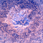 SIF_0747_0733259883_011EBY_N0370000SRLC00372_0000LMJ