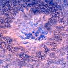 SIF_0747_0733259884_882EBY_N0370000SRLC00372_0000LMJ