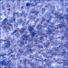 SIF_0747_0733260254_789EBY_N0370000SRLC00636_0000LMJ