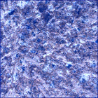 SIF_0747_0733260441_679EBY_N0370000SRLC00454_0000LMJ