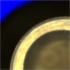 CCF_0749_0733465088_256EBYUN0370000CACH00222_04_0LLJ02