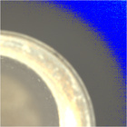 CCF_0749_0733465088_256EBYUN0370000CACH00222_05_0LLJ02