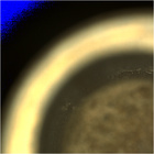 CCF_0749_0733465158_676EBYUN0370000CACH00225_04_0LLJ02