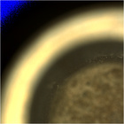 CCF_0749_0733465200_010EBYUN0370000CACH00225_04_0LLJ02