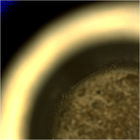 CCF_0749_0733465289_260EBYUN0370000CACH00226_04_0LLJ02