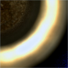 CCF_0749_0733465289_260EBYUN0370000CACH00226_07_0LLJ02