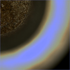 CCF_0749_0733465459_613EBYUN0370000CACH00227_07_0LLJ02