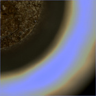 CCF_0749_0733465518_051EBYUN0370000CACH00227_07_0LLJ02