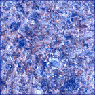 SIF_0782_0736371457_343EBY_N0390690SRLC00454_0000LMJ