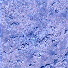 SIF_0786_0736717247_183EBY_N0390926SRLC04001_0000LMJ