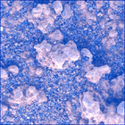 SIF_0786_0736717672_644EBY_N0390926SRLC00704_0000LMJ
