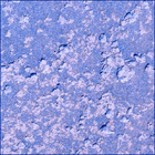 SIF_0786_0736717827_421EBY_N0390926SRLC04001_0000LMJ