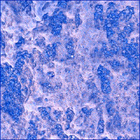 SIF_0822_0739912831_363EBY_N0400132SRLC01036_0000LMJ