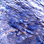 SIF_0847_0742142006_972EBY_N0410000SRLC00657_0000LMJ