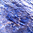 SIF_0847_0742142008_609EBY_N0410000SRLC00657_0000LMJ