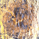 SIF_0849_0742314231_781EBY_N0410188SRLC00701_0000LMJ