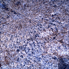 SIF_0860_0743289677_527EBY_N0420000SRLC00348_0000LMJ