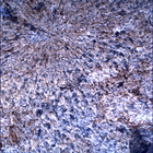 SIF_0860_0743289682_542EBY_N0420000SRLC00348_0000LMJ