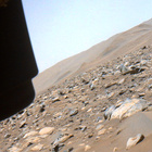 FLF_0864_0743637601_102ECM_N0420000FHAZ00203_01_195J