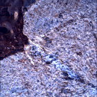 SIF_0865_0743736422_742EBY_N0420000SRLC00348_0000LMJ