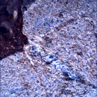 SIF_0865_0743736432_679EBY_N0420000SRLC00348_0000LMJ
